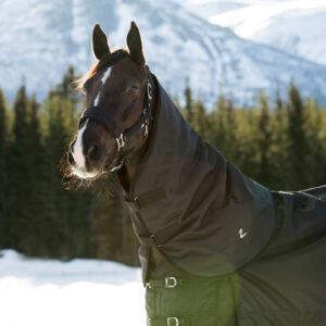 Couvre-cou pour cheval Horze Nevada