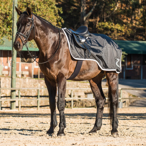 Couvre-reins pour cheval doublé polaire Horze Protrek