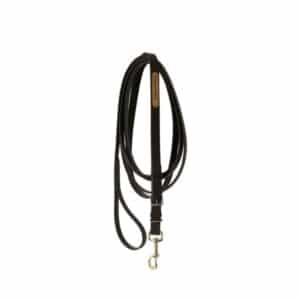 Longe équitation pour cheval de présentation cuir Kentucky