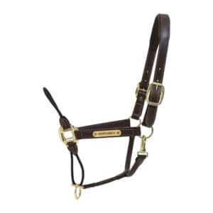 Licol pour cheval en cuir Kentucky Rope