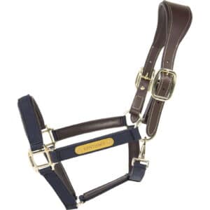 Licol pour cheval anatomique nylon Kentucky