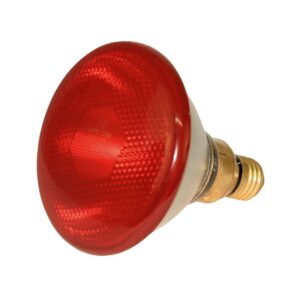 Lampe infrarouge économique Kerbl