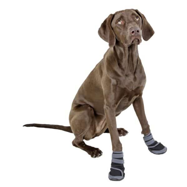 Chaussures pour chien Kerbl Active (x2)