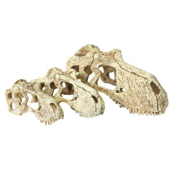 Accessoire de terrarium Komodo T-Rex Skull