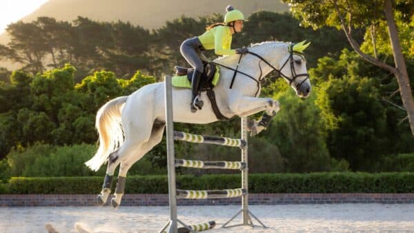 Tapis de selle pour cheval LeMieux Loire Classic GP