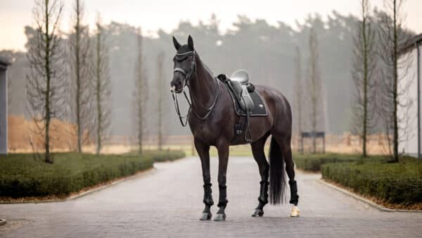 Tapis de dressage pour cheval LeMieux Puissance Suede