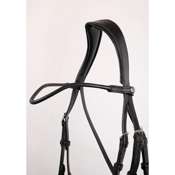 Frontal en cuir pour cheval Montar