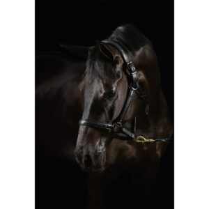 Licol en cuir pour cheval Mrs. Ros Diamond Deluxe Movie Star