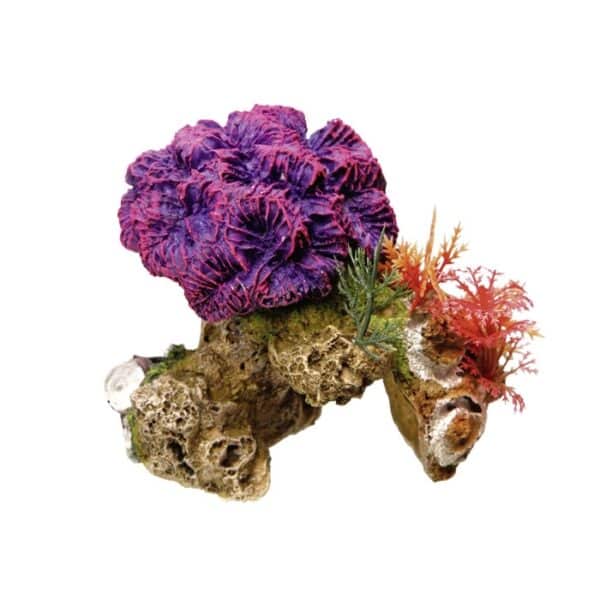 Décoration d'aquarium avec plantes Nobby Pet Coral Stone