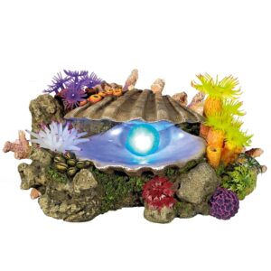 Décoration d'aquarium coquillage avec plantes Nobby Pet