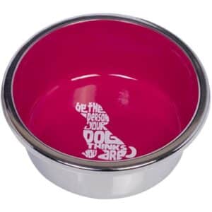 Gamelles pour chien en inox antidérapnte Nobby Pet Wise