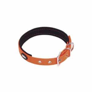 Collier pour chien Nobby Pet Cover