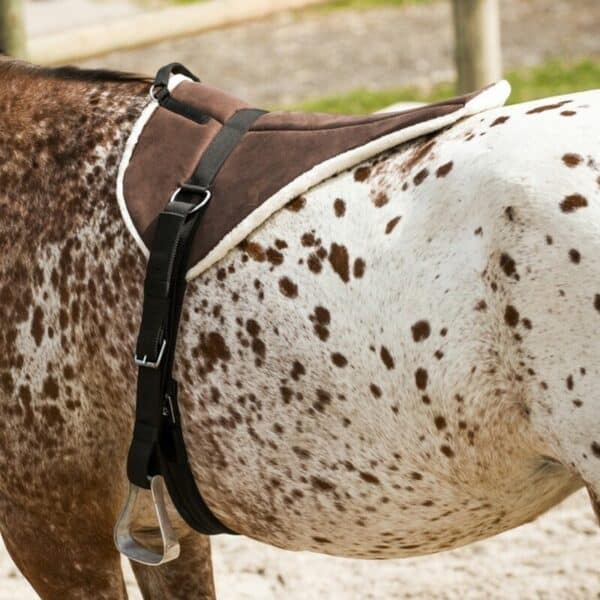 Tapis en forme de selle pour cheval de monte à cru doux Norton