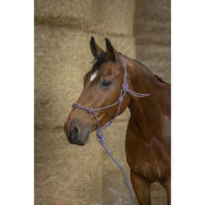 Licol pour cheval Norton Eco