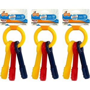 Jouet pour chien Nylabone Puppy Teething Keys - Bacon XS