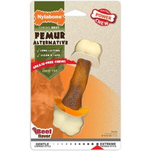 Jouet pour chien Nylabone Extreme Chew - Femur Beef Flavour L