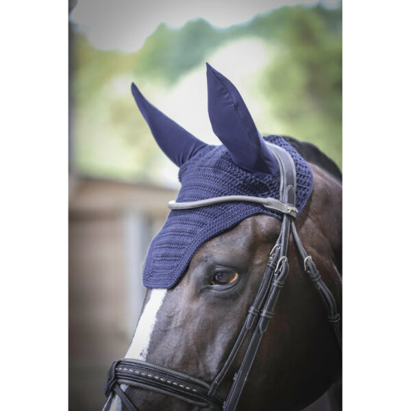 Bonnet pour cheval Paddock Sports Pro Coton Fs