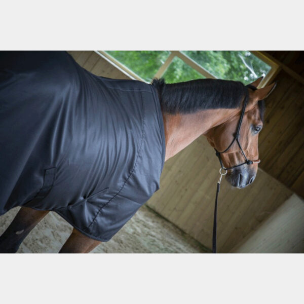 Chemise pour cheval Paddock Sports Light Mesh