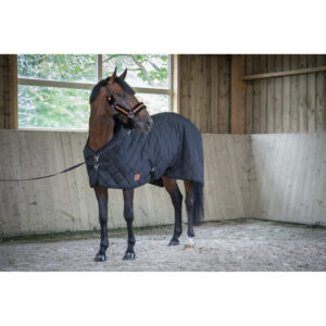 Couverture d'extérieur pour cheval  matelassé Paddock Sports 50g