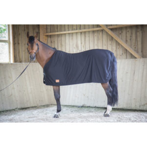 Chemise pour cheval séchante Paddock Sports