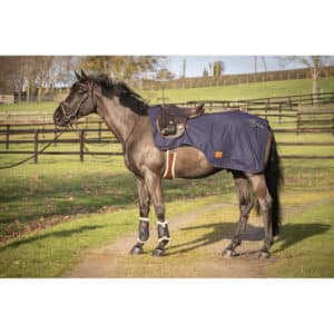 Couvre-reins pour cheval polaire Paddock