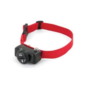 Collier anti-fugue supplémentaire pour chien PetSafe Lux