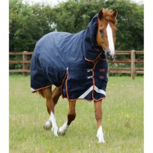 Couverture d'extérieur pour cheval avec couvre cou Premier Equine Titan Storm 450 g