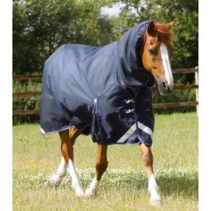 Couverture d'extérieur pour cheval avec couvre cou Premier Equine Titan Storm 200 g