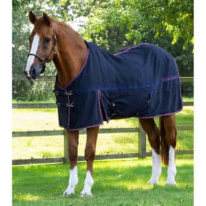 Couverture d'écurie pour cheval coton Premier Equine Barrasso 450 g