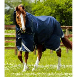 Couverture d'extérieur pour cheval avec couvre cou Premier Equine Titan 40 g