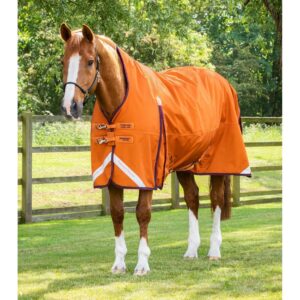 Couverture d'extérieur imperméable pour cheval Premier Equine Buster Hardy 200 g