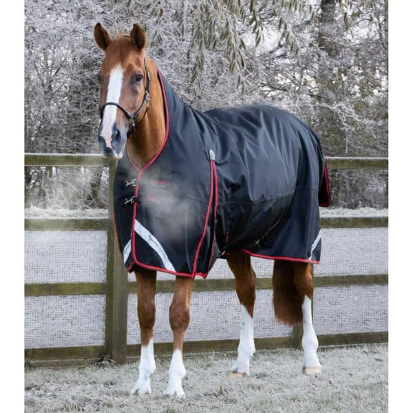 Couverture d'extérieur imperméable pour cheval Premier Equine Buster Hardy 400 g