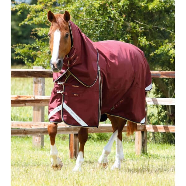 Couverture d'extérieur imperméable pour cheval avec couvre-cou Premier Equine Buster 0 g