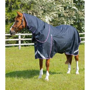 Couverture d'extérieur imperméable pour cheval avec couvre-cou Premier Equine Buster 70 g