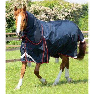 Couverture d'extérieur imperméable pour cheval avec couvre-cou Premier Equine Buster 250 g