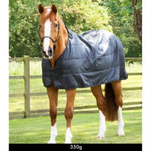 Doublure de couverture pour cheval Premier Equine 350 g