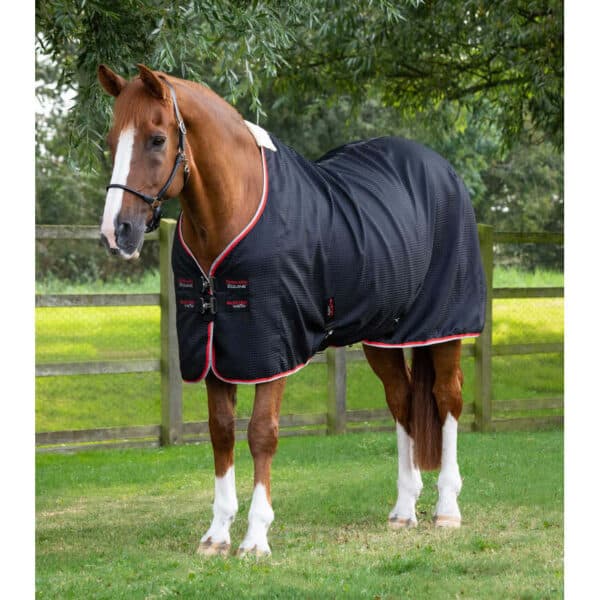 Couverture d'extérieur pour cheval Premier Equine Cooler Buster