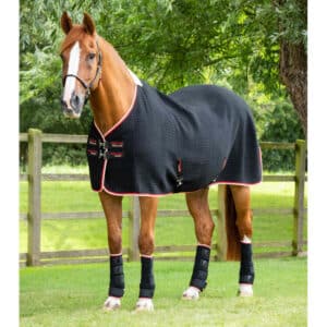 Chemise séchante pour cheval Premier Equine Premtex