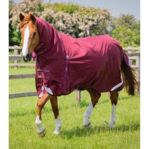 Couverture d'extérieur imperméable pour cheval avec couvre-cou Premier Equine Buster Storm Classic 90 g