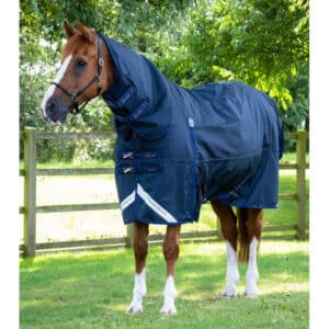 Couverture d'extérieur imperméable pour cheval avec couvre-cou Premier Equine Buster Storm Classic 420 g