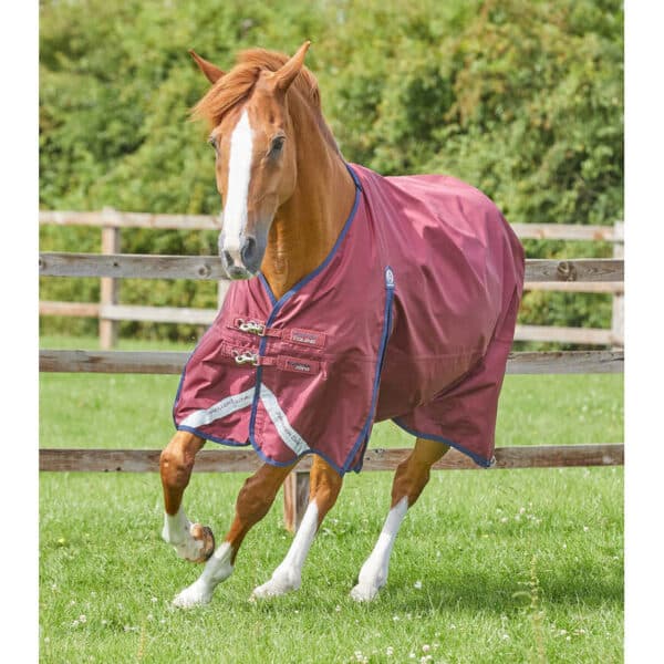 Couverture d'extérieur imperméable pour cheval Premier Equine Buster Original 0 g