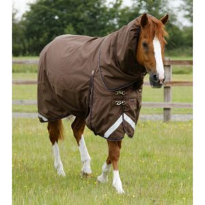 Couverture d'extérieur imperméable pour cheval avec couvre-cou Premier Equine Buster 400 g