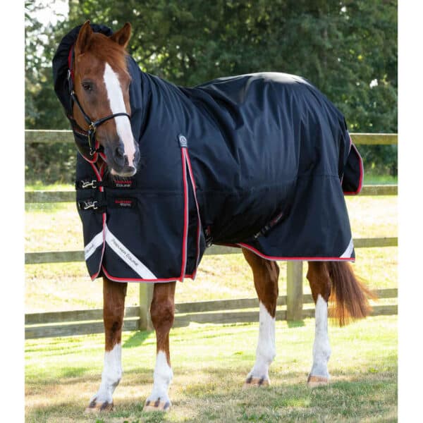 Couverture d'extérieur imperméable pour cheval avec couvre-cou  Premier Equine Buster Storm 400 g