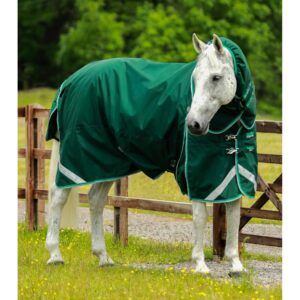 Couverture d'extérieur imperméable pour cheval avec couvre-cou Premier Equine Buster 200 g