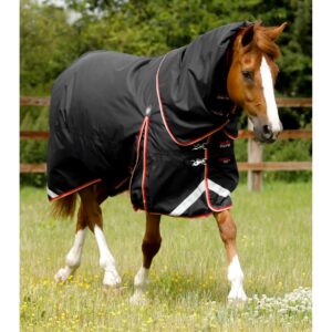 Couverture d'extérieur imperméable pour cheval avec couvre-cou Premier Equine Buster 100 g