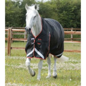 Couverture d'extérieur imperméable pour cheval Premier Equine Buster Hardy 100 g