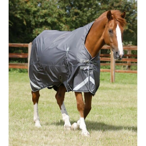 Couverture d'extérieur imperméable pour cheval Premier Equine Buster Hardy 0 g