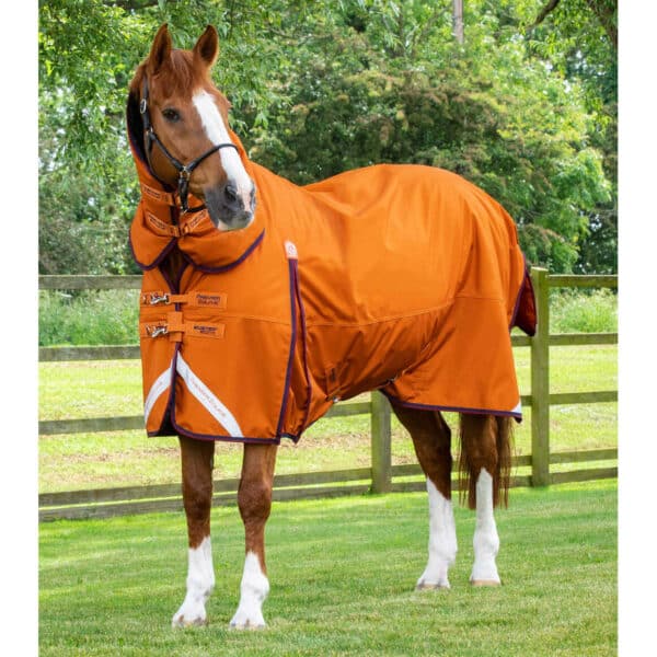 Couverture d'extérieur imperméable pour cheval avec couvre-cou Premier Equine Buster Combo 200g