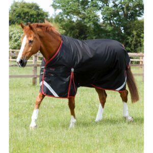 Couverture d'extérieur pour cheval Premier Equine Turnout Rug 450 g