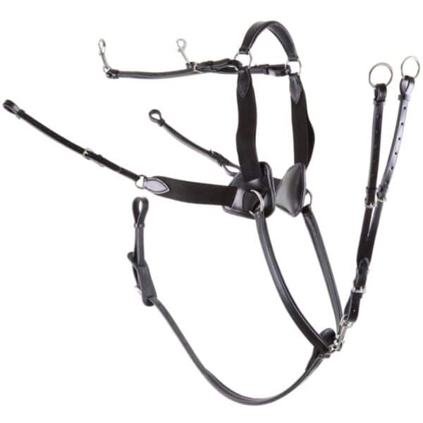 Collier de chasse pour cheval 5-points élastique Premiere